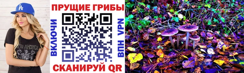 Псилоцибиновые грибы MAGIC MUSHROOMS  blacksprut ССЫЛКА  Петровск-Забайкальский 